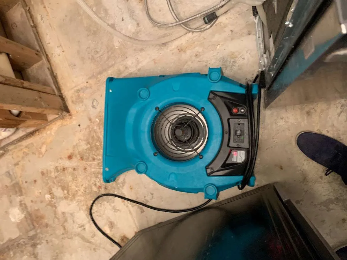 Air mover drying equipment for Mold Remediation & Removal in Ocoee